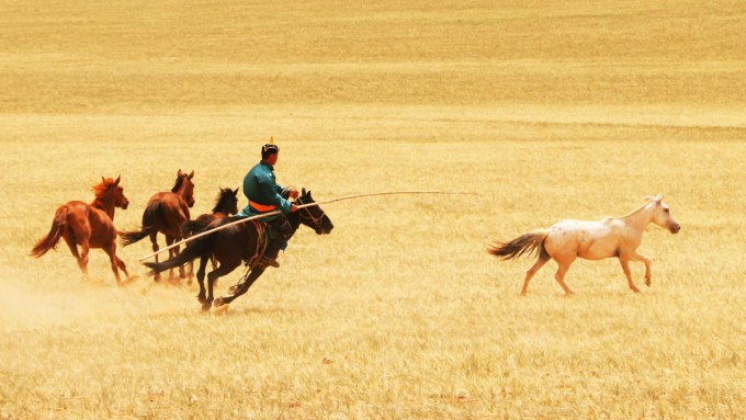 A man wearing a blue-green shirt and a red sash around his waist rides a dark brown horse in pursuit of a riderless white horse. Three other reddish horses run across a plain covered in straw-colored grass.