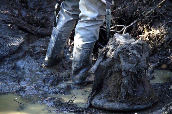 The lower part of a woolly mammoths' leg and its foot sits on a bank of dark mud and muddy water. The legs of a person wearing light gray pants and black calf-high rubber boots are visible behind the mammoth foot.